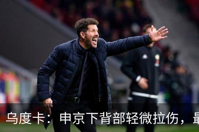 乌度卡：申京下背部轻微拉伤，最多缺席几场