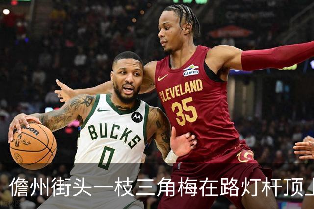 儋州街头一枝三角梅在路灯杆顶上开花，被赞“全网最努力”，园林管理局：其生长状况良好