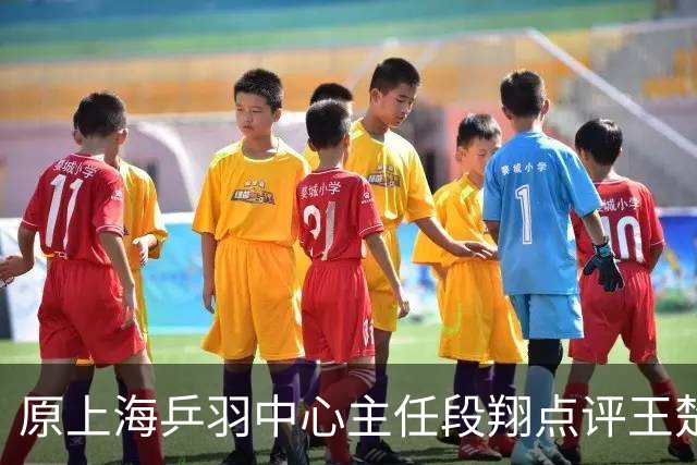 原上海乒羽中心主任段翔点评王楚钦，表示王楚钦在蔡振华时代就是公认的天才，上限很高，但下限也很低，引发球迷热议