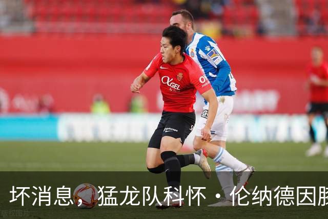坏消息，猛龙队科怀·伦纳德因膝盖肿胀缺席对阵森林狼的比赛