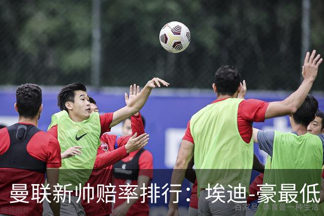 曼联新帅赔率排行：埃迪-豪最低，纳格尔斯曼、孔蒂其次