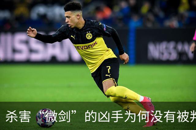 杀害“微剑”的凶手为何没有被判处死刑立即执行?!