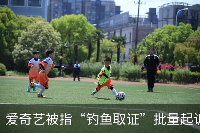 爱奇艺被指“钓鱼取证”批量起诉小企业
