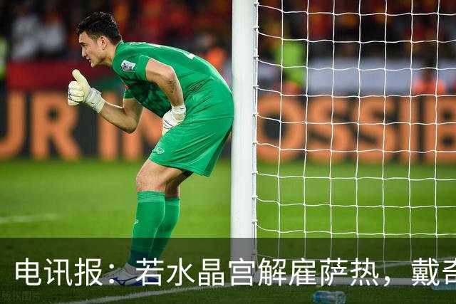 电讯报:若水晶宫解雇萨热,戴奇是接任热门人选