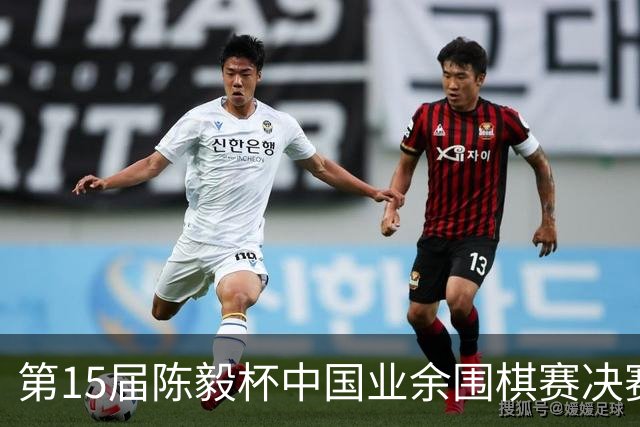 第15届陈毅杯中国业余围棋赛决赛在四川乐至举行
