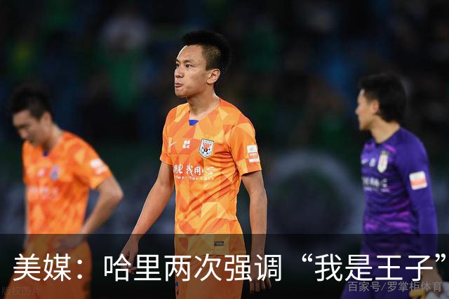 美媒：哈里两次强调“我是王子”，而威廉王子则称“直呼其名即可”