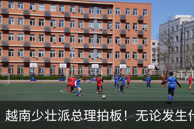 越南少壮派总理拍板！无论发生什么情况，全国4年内一律严禁停电