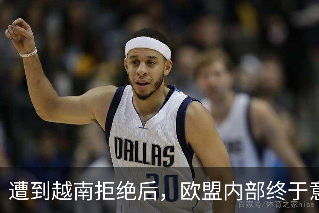 遭到越南拒绝后，欧盟内部终于意识到：什么叫 “中国力量”！