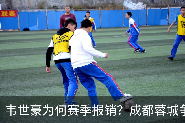 韦世豪为何赛季报销？成都蓉城争冠关键期，折损进攻核心！11月8日｜中超第30轮揭晓悬念