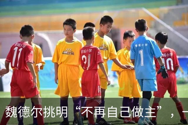 魏德尔挑明“不再自己做主”，一句交权，文件的条款比口号硬得多